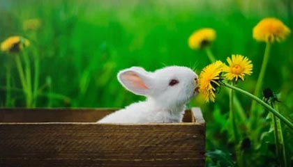 乐鱼体育(中国)官方网站-国际热身赛中国青年队逆袭 球迷支持新人涌现，国家队热身赛进球算不算正式进球