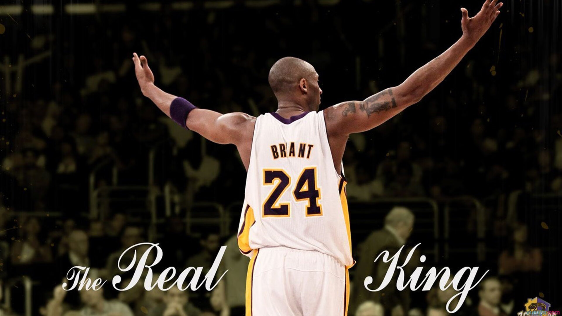 乐鱼足球官网-“2025世界运动会东安湖体育公园：跑酷赛事让观众热血沸腾”