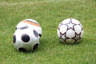 乐鱼app-基层足球发展资金紧张，基层足球发展资金紧张的原因