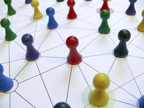 中国篮球教练员战术执行力提升路径分析，中国篮球教练员等级划分标准