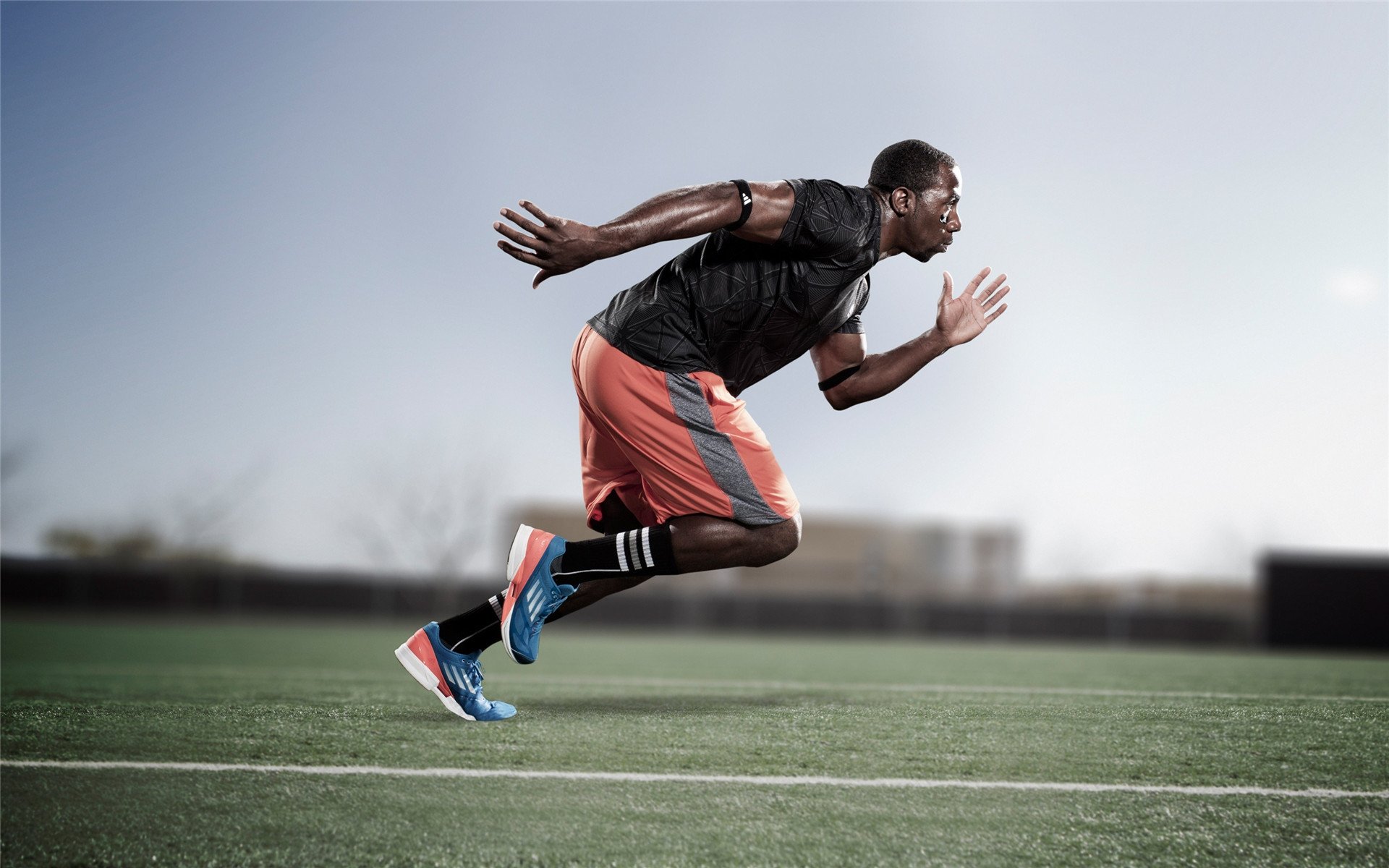 体育纪录片斩获国际奖项，体育 纪录片